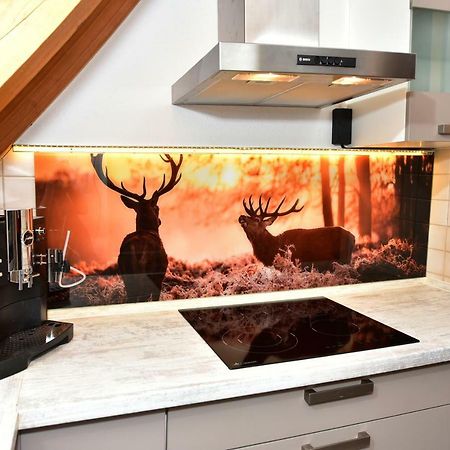 Black Forest Bollenhut Deluxe Lenzkirch Exterior photo